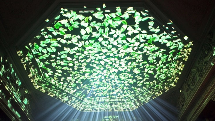 Rapturous Delight at Croome